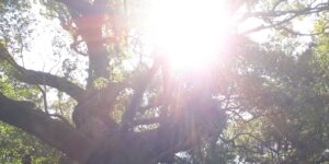 素敵な神社